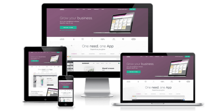 odoo erp development